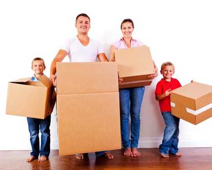 Liability and risk allocation within storage terms